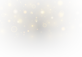 Golden sparkle bokeh and dust shimmer beautifully across the background. Tiny motion particles twinkle softly. The effect enhances cards, banners, and invitations.PNG