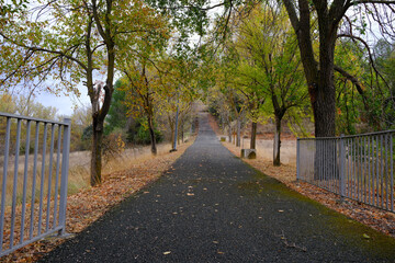 Autumn