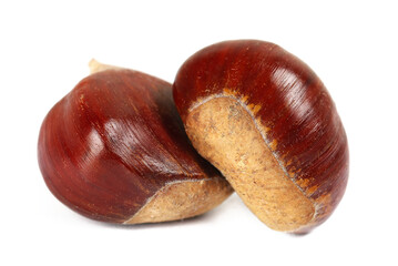 Fresh raw chestnut isolated on white background