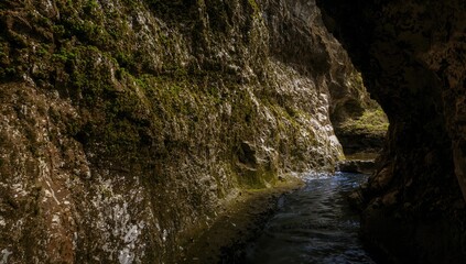 Aged stone texture with moss growth in a cave, highlighting erosion risk