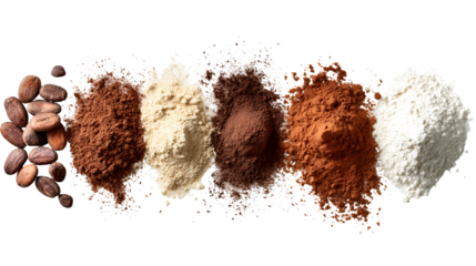 Assortment of cocoa powder and cacao beans in different shades isolated on transparent background
