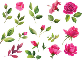 seamless pattern with pink roses