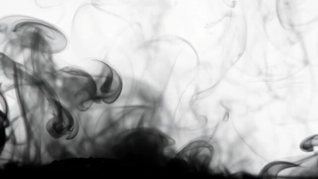 Black smoke rolling smoothly across a white background, creating a dramatic and atmospheric visual effect ideal for overlays or transitions.