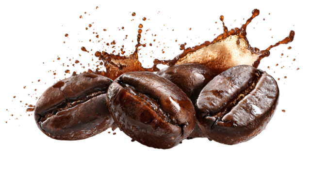 Three dark roasted coffee beans splashing with liquid isolated on transparent background