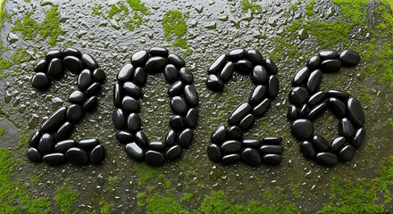 New year 2026 spelled out with smooth black stones on mossy wet ground