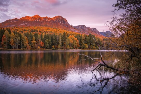 Tranquil woodland pond during fall dusk