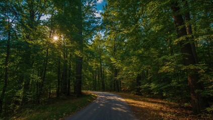 Late summer sunlight filtering through the trees on a magical path, seasonal change
