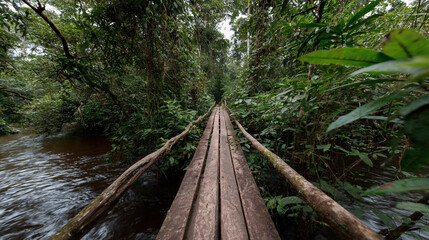 Old wooden bridge crossing a river.