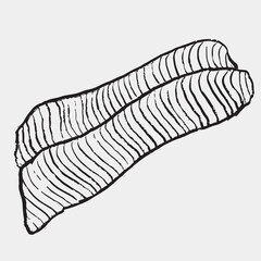 Hand drawn salted salmon strips. Vector sketch illustration in vintage crayon charcoal style. Seafood, fish product