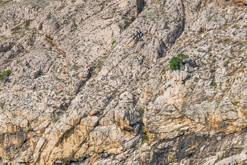 Rugged rocky cliff face with sparse vegetation in sunlight