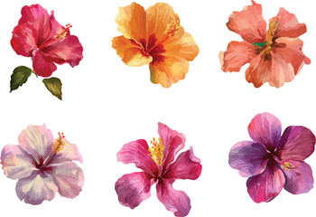 red and yellow flowers