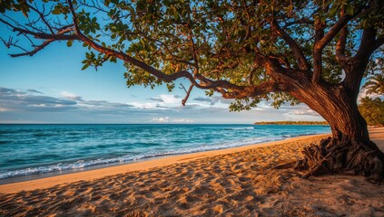 A stroll along the shore, promoting relaxation and mindfulness