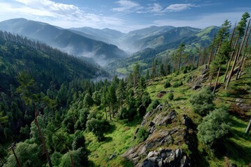 Breathtaking mountain vista with dense green forests and a misty valley.