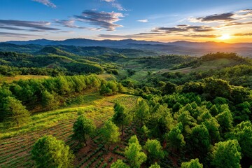 Fototapeta premium Panoramic view of lush green hills and forests at vibrant golden hour sunset.