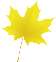 Hand-drawn gold-yellow autumn colored single maple leaf isolated on white background. Flat and line style vector illustration.