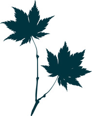 Hand-drawn two maple leaves silhouette isolated on white background. Flat style vector illustration. 