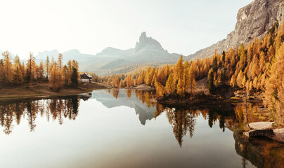 Fototapeta premium Crystal clear water. Lake Federa near the Croda da Lago mountain at autumn time, majestic landscape, raw nature
