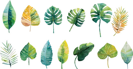 set of autumn leaves