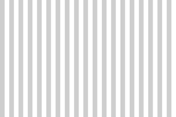 Obraz premium Platinum Silver color and white color background with lines. traditional vertical striped background texture.