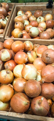 Onions in the market for background. Healthy food concept.