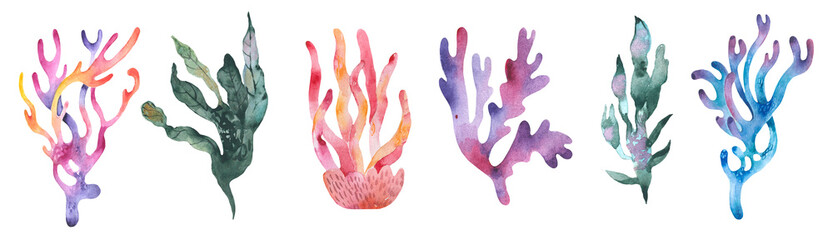 Set of watercolor seaweed and corals isolated on white