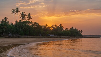 Charming sunset over palm trees by the beach, seasonal change