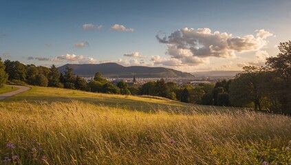 Obraz premium Mountainous outdoor park featuring clear blue skies and scenic views