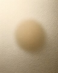 Photorealistic Minimal Soft Shadow, Cream Background, Ultra-Clear 8K Overlay