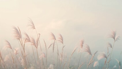 Obraz premium Gentle breeze swaying wildflowers and grass under a misty dawn sky. tranquil and simple nature scene with a soft spring palette.