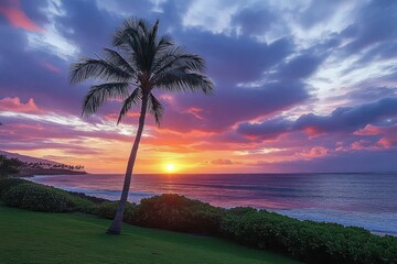 Solitary palm tree on green grass overlooking ocean at vibrant sunset with colorful clouds and calm water