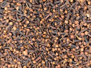 Dried Clove Spice Buds Close-up – Bunga Cengkih Aromatic Spice Macro Shot