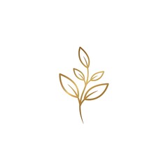 Elegant Golden Leaf Illustration for Minimalist Design and Natural Aesthetics.