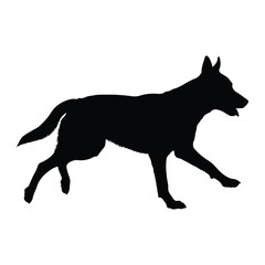 Obraz premium Silhouette of a dog running with tongue out canine