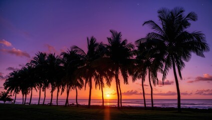 Fototapeta premium Sunset hues behind a line of tall palm silhouettes in a tropical scene at dusk.