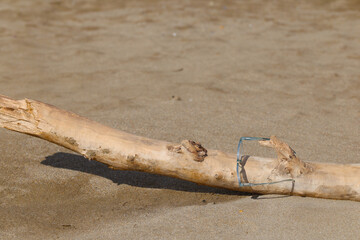 Glasses on the beach on a piece of wood 