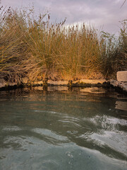 Hot springs of Bultei, Sardinia, natural thermal pool in rural landscape