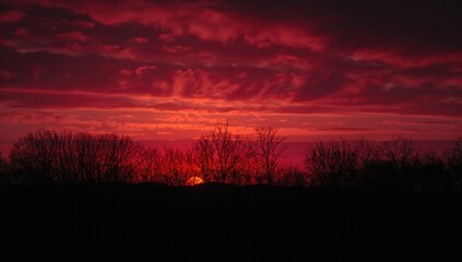 Fototapeta premium A fiery crimson dusk bathes the overcast heavens in warmth, setting a bright scene behind the dark outlines of leafless woodland. Vibrant hues and dramatic contrast mark the gentle shift of an autumn