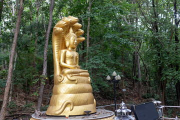 Golden Buddha meditating under Mucalinda's serpent canopy in a tranquil forest, symbolizing protection, peace, and spiritual awakening.