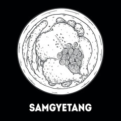 Samgyetang chicken soup sketch. Korean food. Hand drawn vector illustration. Top view.