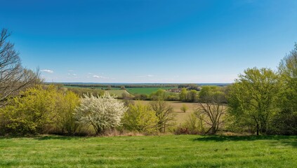 Obraz premium Lush green landscape with rolling hills, focus on natural beauty and seasonal change