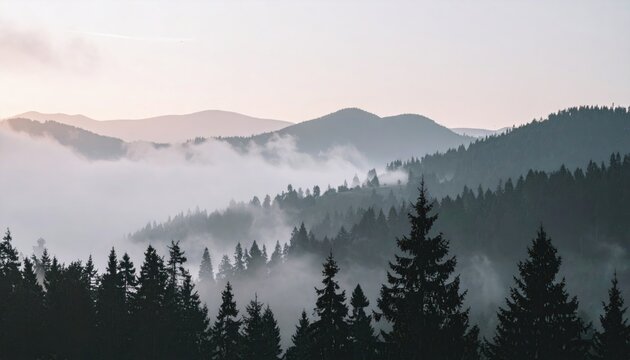Misty mountain landscape at sunrise, pine trees, fog, cinematic lighting, nature 