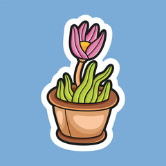 pink flower in the pot with white outline and isolated background