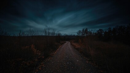 A solitary trail winding through dense forest depths, evoking feelings of isolation