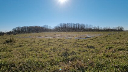 The time for bees to return is near! Apiarists eagerly anticipate the sunny days to unlock their hives and enjoy the hum of diligent bees. Motivation, sunlight, and sweet nectar - the fresh honey