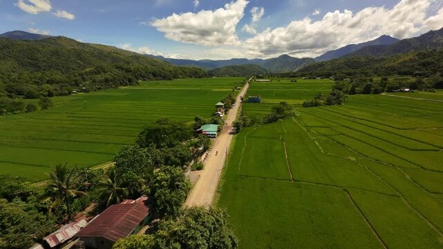 flatlands and mountain view in Benguet, Philippines