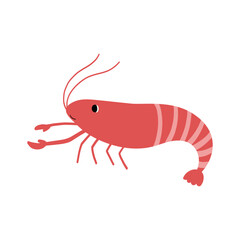 Illustration of a Red Shrimp