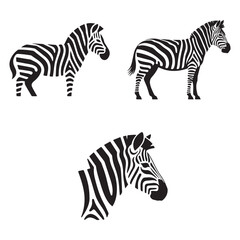 Fototapeta premium Black and White Zebra Art – Safari Animal Vector Design
