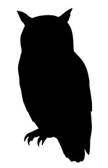 Owl Silhouette Illustration. Forest animal clipart