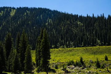 The beautiful scenery of Xinjiang, Asia