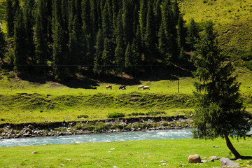 The beautiful scenery of Xinjiang, Asia